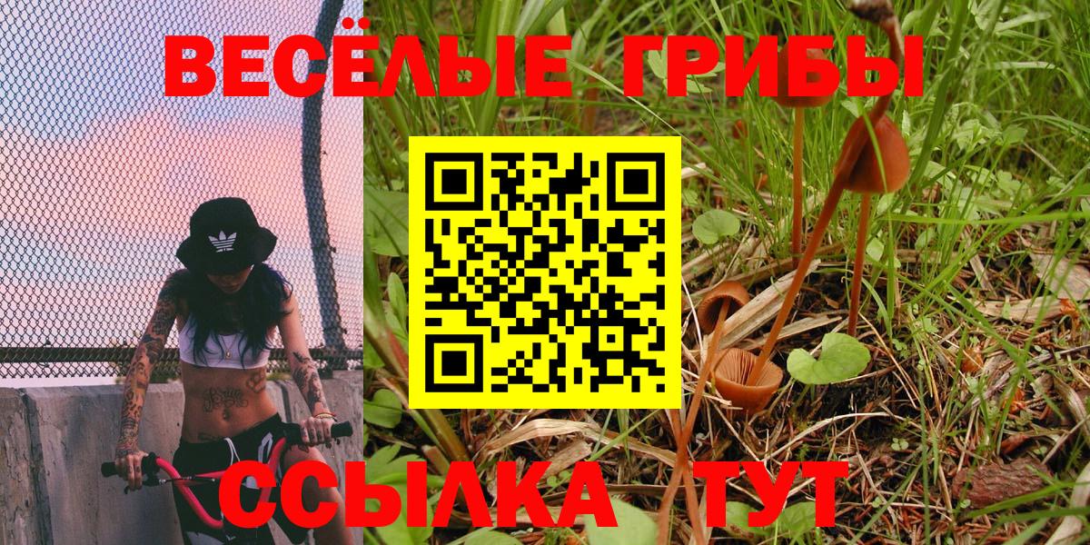 Галлюциногенные грибы MAGIC MUSHROOMS Заволжье