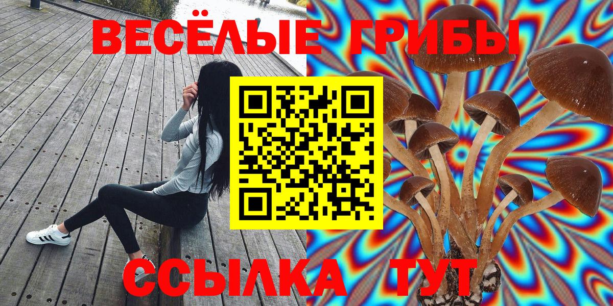 Заволжье  Галлюциногенные грибы ЛСД  Вход с VPN 